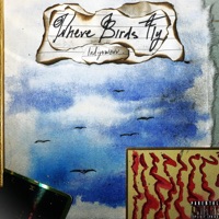 Where Birds Fly - Indigo