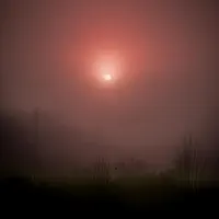 Merely — Bremnar