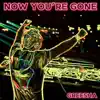 NOW YOU'RE GONE