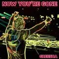 NOW YOU'RE GONE