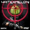 WATERMELON (feat. Jonah raine) - Single