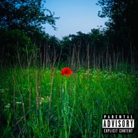 YEX - Single - Purple Haze