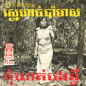 ស្នេហាចំប៉ាមាស & កុំឃាត់បងអ្វី (2024 Remaster) - Single