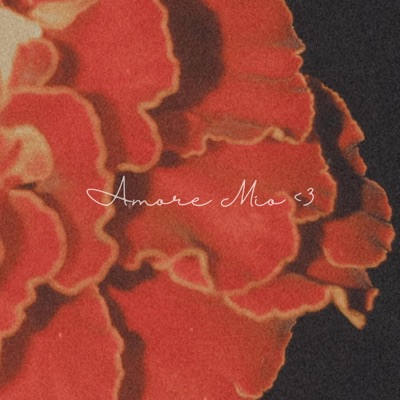 Amore Mio <3
