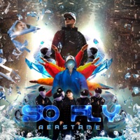 So Fly - Single - Aerstame & DJ Tee