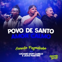 Povo de Santo / Amor Calmo (Ao Vivo) [feat. Luciano Bom Cabelo & João Martins] - Single - Sansão Pagodinho