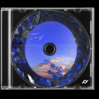 In My Bones - Single