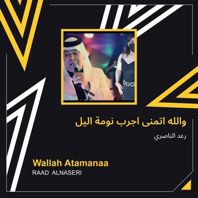 Raad Al Naseri - والله اتمنى اجرب نومة اليل