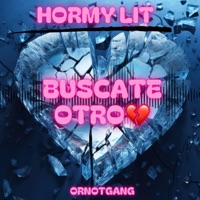 BUSCATE OTRO - Single - Hormy Lit