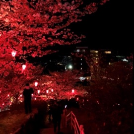 poker night soba star