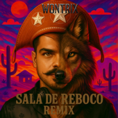 Sala de Reboco (Remix) (feat. Luiz Gonzaga) [Radio Edit]