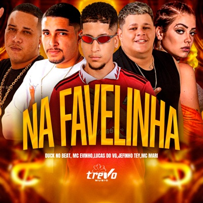 Na Favelinha (feat. MC Mari) - Single