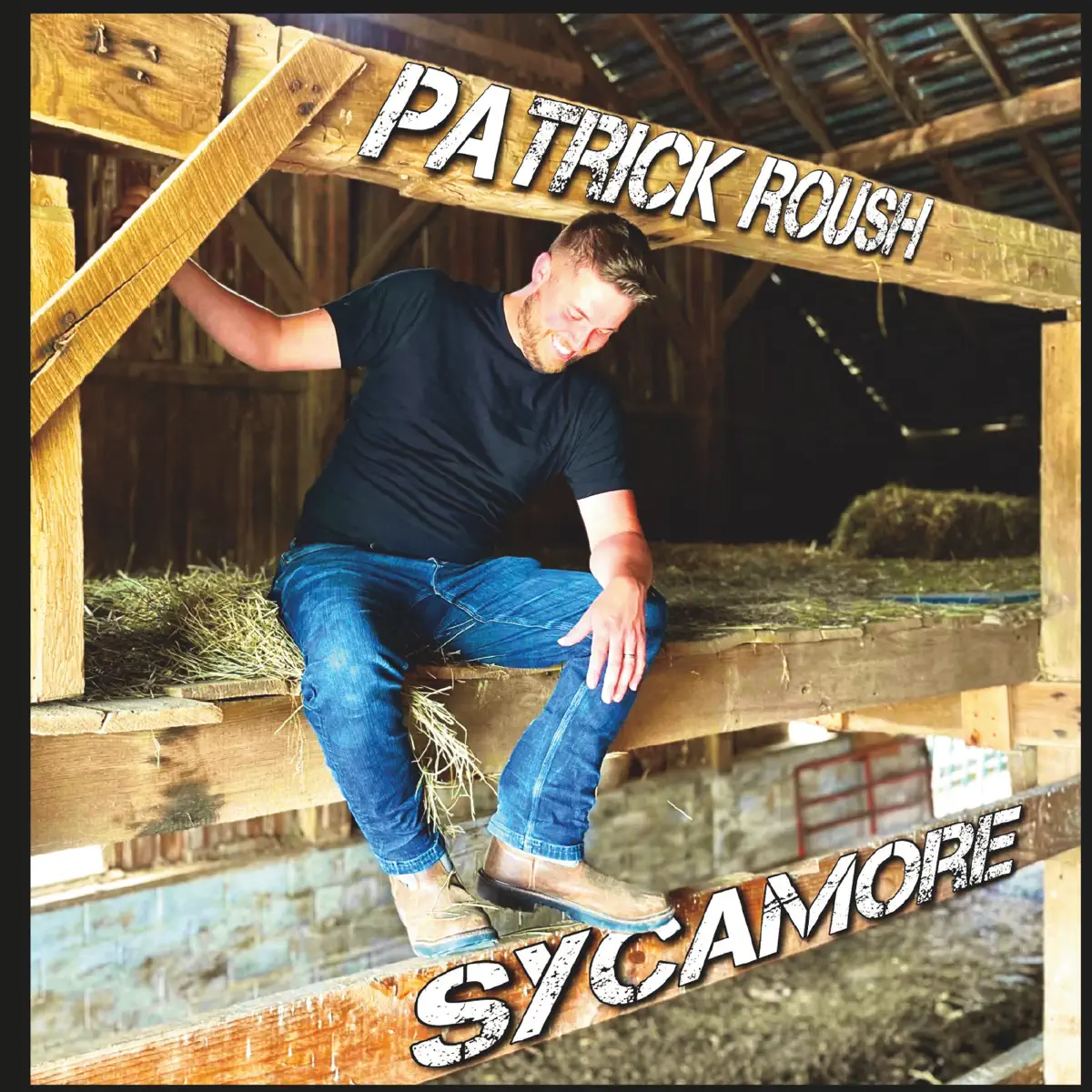 Patrick Roush – Sycamore (2024) [iTunes Plus AAC M4A]-新房子