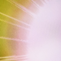 Element 16 - Single - Lofty305