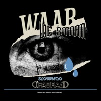 Waar we staan (feat. Slowmoo) - Single - Fataal