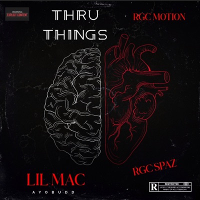 Thru Things (feat. RGCSpaZ & Motion) - Single