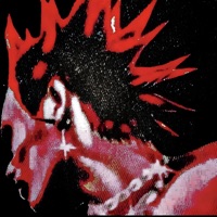 EVIL RAGE - Single - ShottingTheFlame