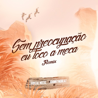 Sem Preocupação Eu Toco a Meca (feat. MC PH) [Remix] - Single