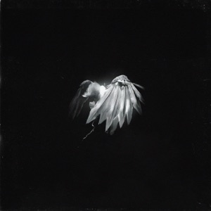 angel - EP