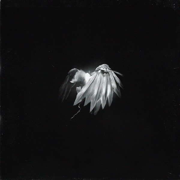 angel - EP