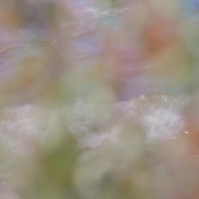 lessons in letting go - Single