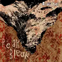 Thinning — Bleak Streak