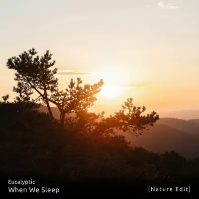 Eucalypticの「When We Sleep (Nature Edit)」を聴こう。