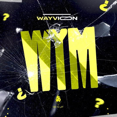 W.Y.M? (What You Mean?) - Single