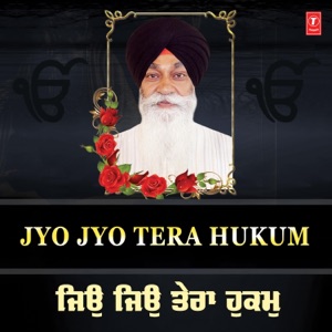 Sajjan Mere Rangle,Jaaye Sutte Jeeraan (From 