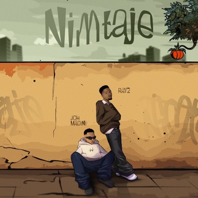 Nimtaje (feat. Rayz) - Single