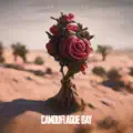 Camouflage Day