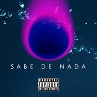 Sabe de Nada - Single - Bonde R300, DJ Biel Bolado & Mayklove