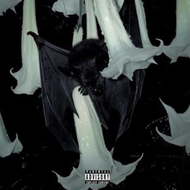 Bruce Wayne (feat. camsoulja) W1zrd