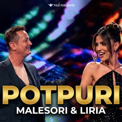 Bjeri Ciftelise (Potpuri 2026) - Single