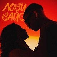 Лови вайб - Single - MEERON