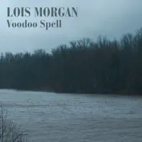 Blues For Nation Street — Lois Morgan