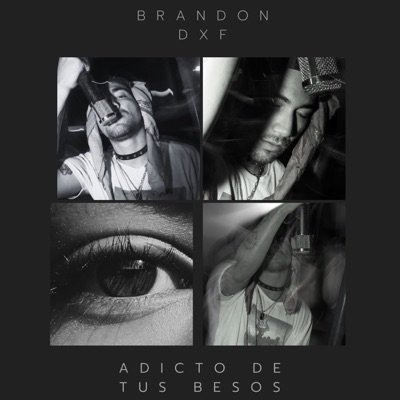 I LIKE THE WAY YOU KISS ME (ADICTO DE TUS BESOS) - Single