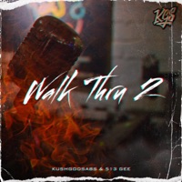 Walk Thru 2 - KushGodSabs & 513 Gee