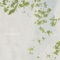 Waiting for Spring (with MORAE) - Jonggeun Cho lyrics