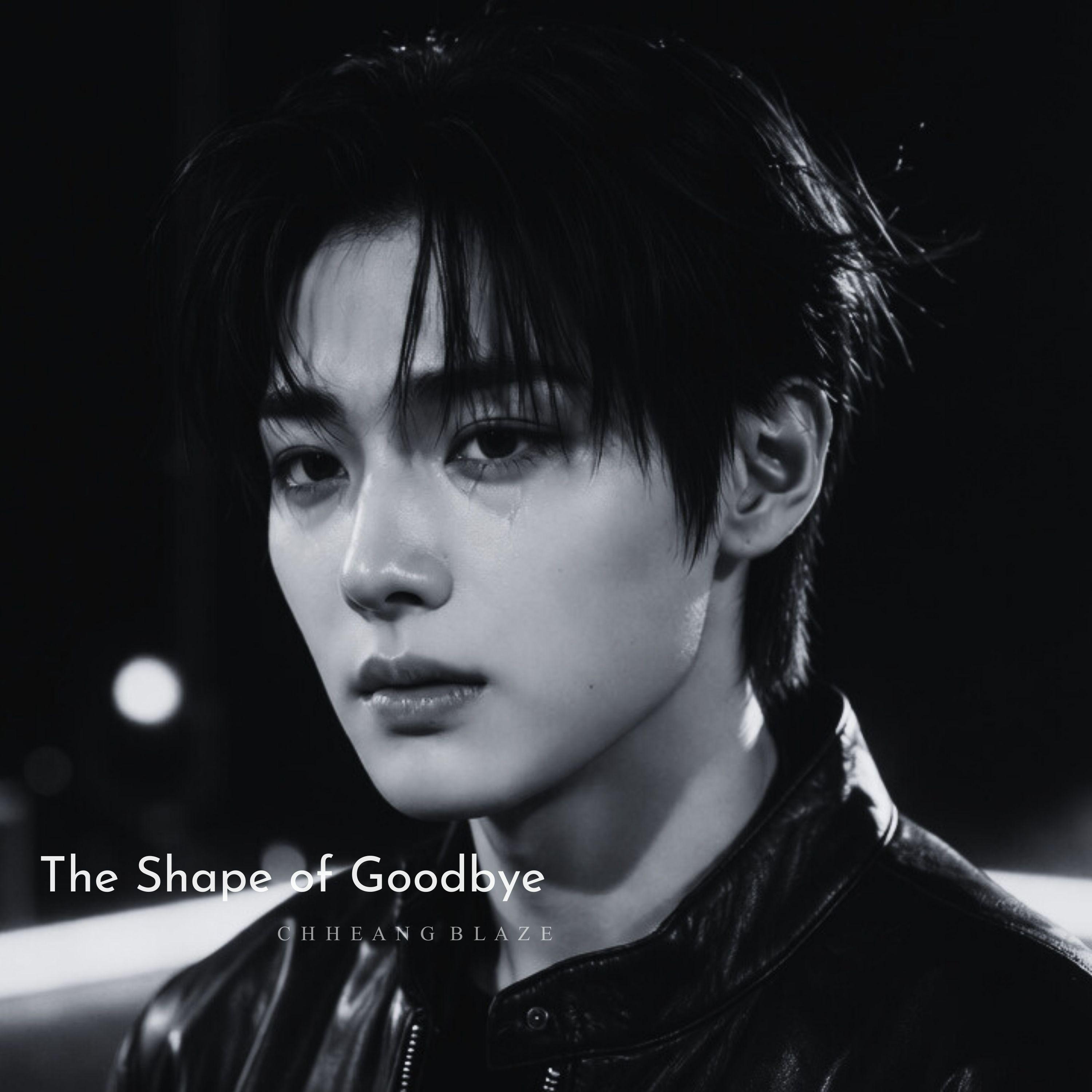 The Shape of Goodbye