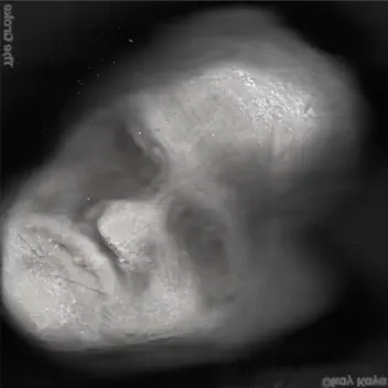 The Groke album cover