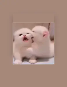 Escucha a Songs For Marian ♡, mira vídeos musicales, lee la biografía, consulta fechas de giras y mucho más.