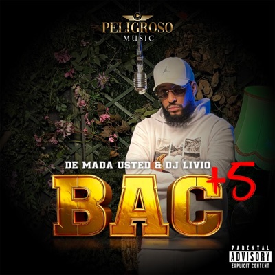 Bac + 5 (feat. Dj Livio) - Single