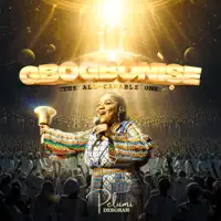Gbogbonise — Pelumi Deborah