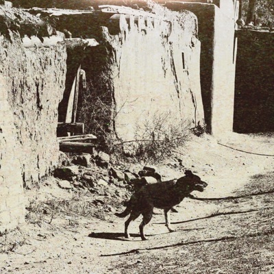 Rez Mutts 2 - Single