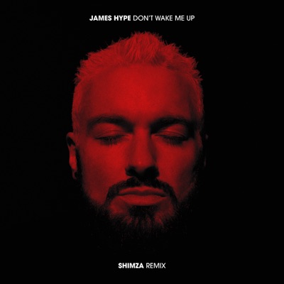 Don't Wake Me Up (Shimza Remix) - Single