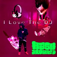 <3 I Luh the DJ <3 (feat. H0RATiO) - Single - Hashdrowned