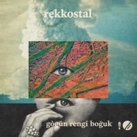 Göğün Rengi Boğuk - Single - Rekkostal