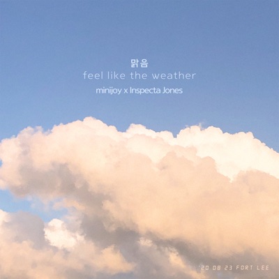 Feel like the weather (Remix Version) - Single