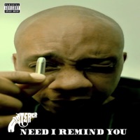 Need I Remind You - Single - Mister CR
